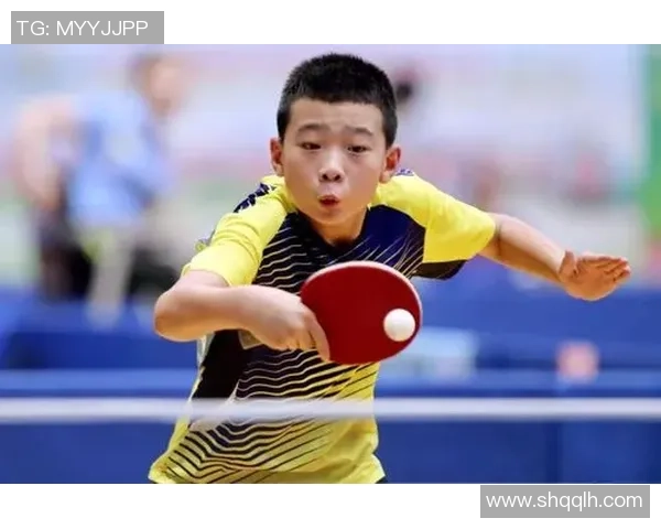 乒乓球比赛经验排行榜揭晓广州乒乓球队勇夺第三名荣耀位置