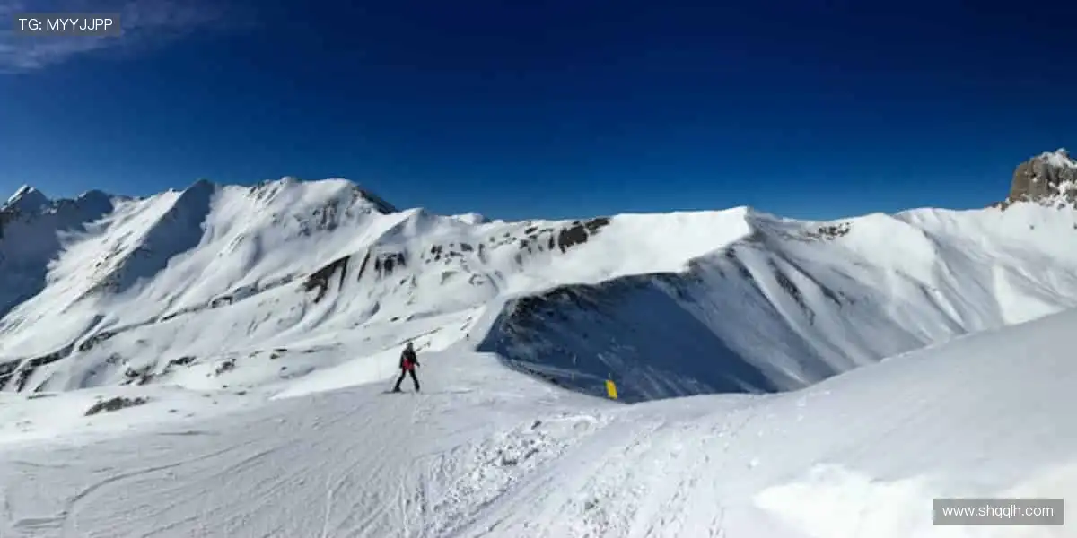 🛒球迷专属,热血助威!🎯球星同款,点燃你的热爱!