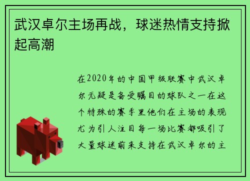 武汉卓尔主场再战，球迷热情支持掀起高潮