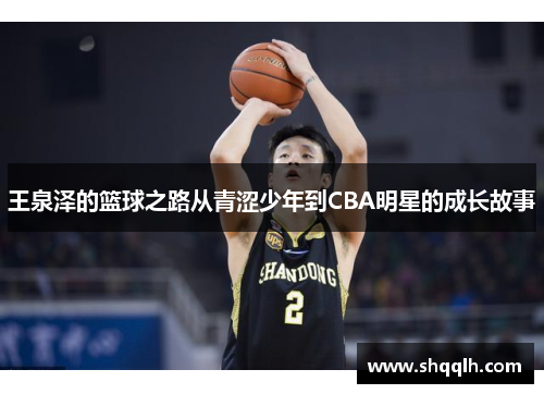 王泉泽的篮球之路从青涩少年到CBA明星的成长故事